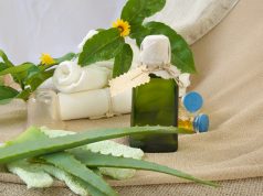 Aloe vera : 4 bienfaits pour la peau aloe vera