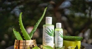 Les meilleurs shampoings naturels en 2021 : La sélection de la rédaction meilleurs shampoings bio