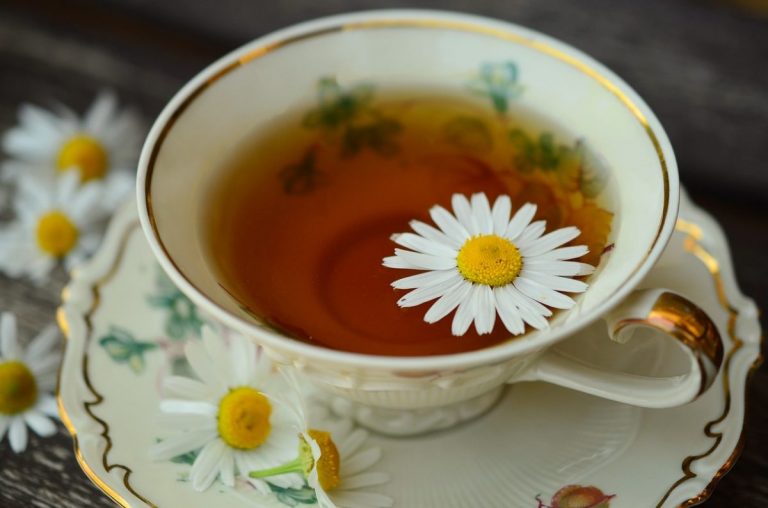 Phytothérapie : Boostez votre tonus naturellement