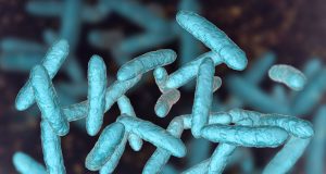 Microbiote intestinal : comment et pourquoi en prendre soin ? Microbiote intestinal