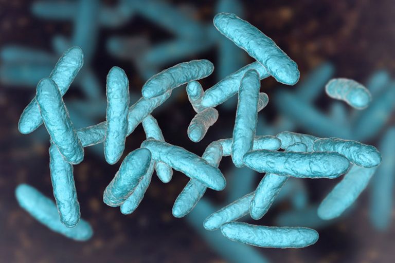 Microbiote intestinal : comment et pourquoi en prendre soin ?