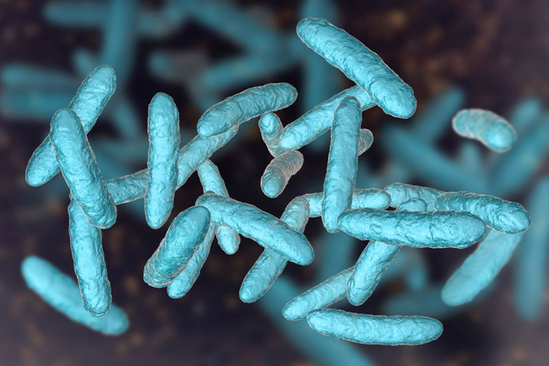 Microbiote intestinal : comment et pourquoi en prendre soin ?