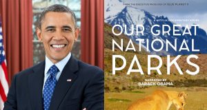 Parcs Nationaux, ces merveilles du monde : la nouvelle série documentaire Netflix ! Parcs Nationaux, ces merveilles du monde