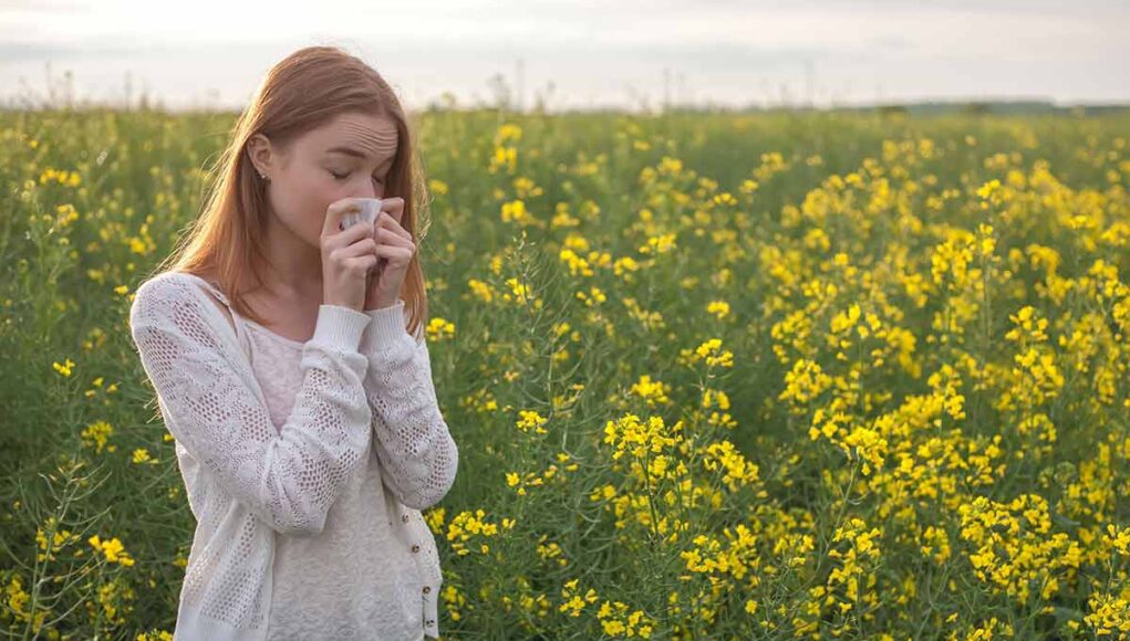 Rhume des foins remèdes naturels
