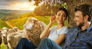 Un accord parfait : il y aura-t-il une saison 2 ? Un accord parfait saison 2