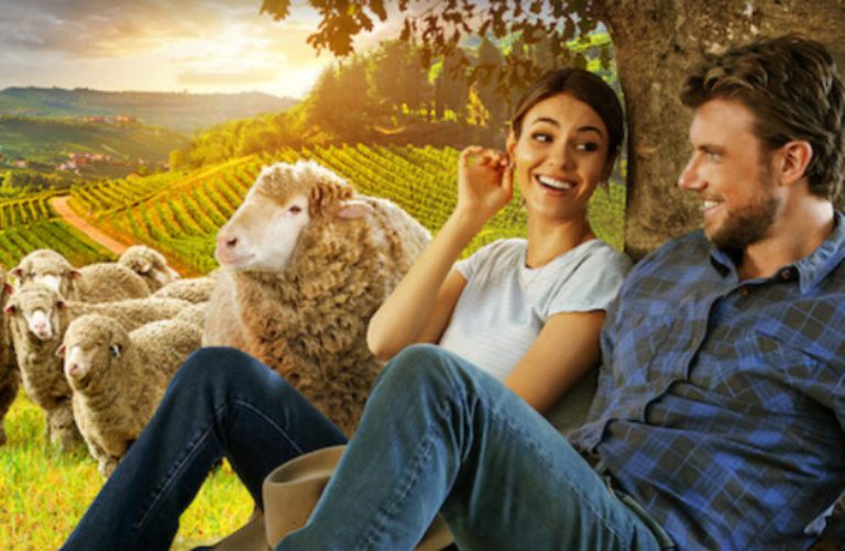 Un accord parfait : il y aura-t-il une saison 2 ?