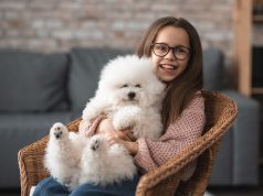 Comment bien s’occuper de son chien de salon ? chien de salon