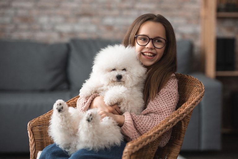 Comment bien s’occuper de son chien de salon ?