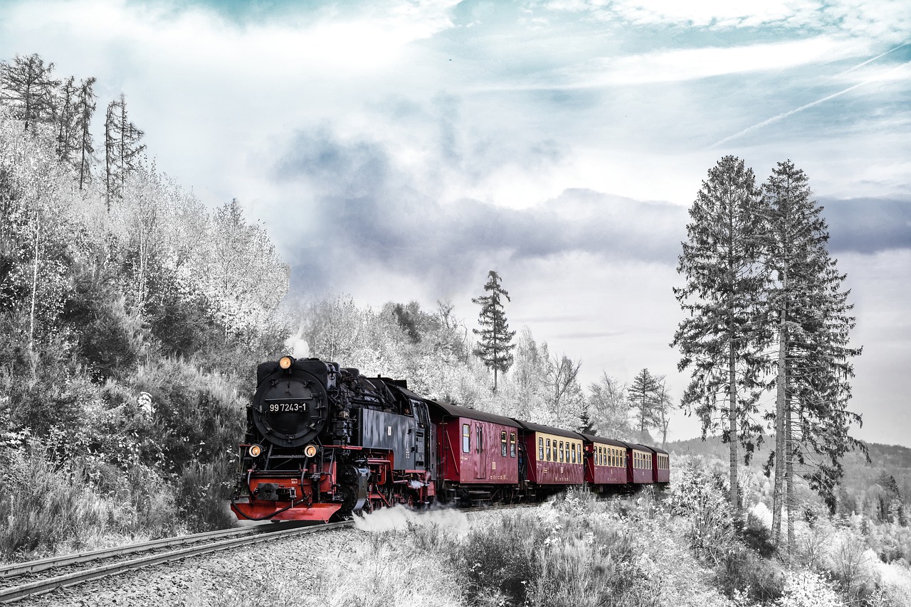 Les astuces naturelles et efficaces contre le mal des transports