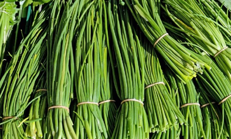 Par quoi remplacer de la ciboulette ?
