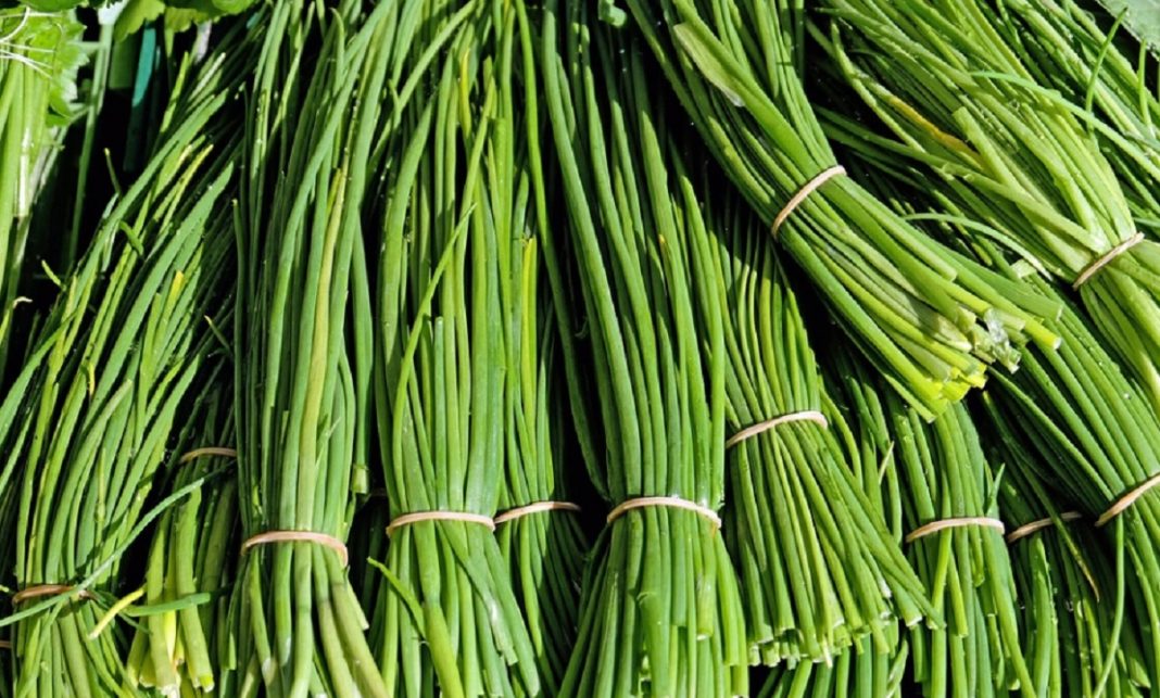 Par quoi remplacer de la ciboulette ?