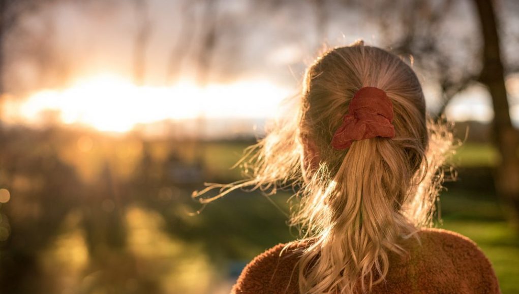 queues de cheval queues de cheval