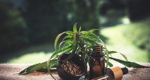 La France et le cannabidiol (CBD) : annulation de l’arrêté interdisant la vente de fleurs France et le cannabidiol CBD