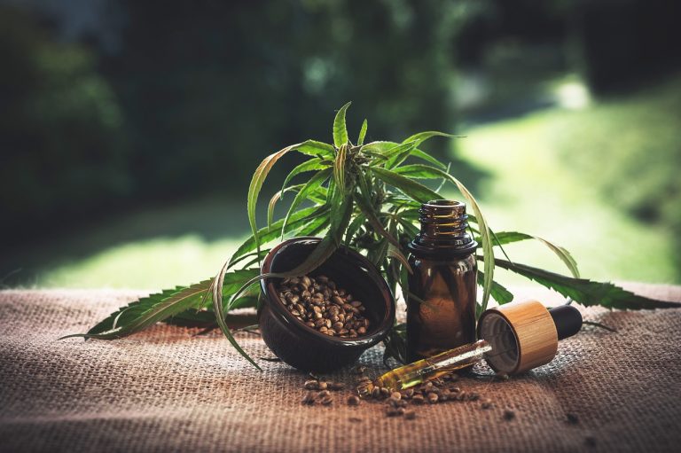 La France et le cannabidiol (CBD) : annulation de l&rsquo;arrêté interdisant la vente de fleurs