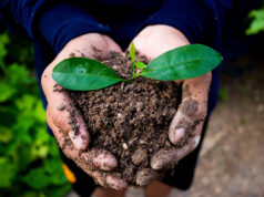 Comment faire le meilleur compost naturel pour son jardin ? faire le meilleur compost naturel