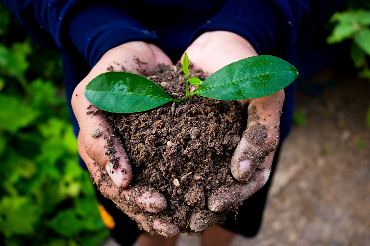Comment faire le meilleur compost naturel pour son jardin ?