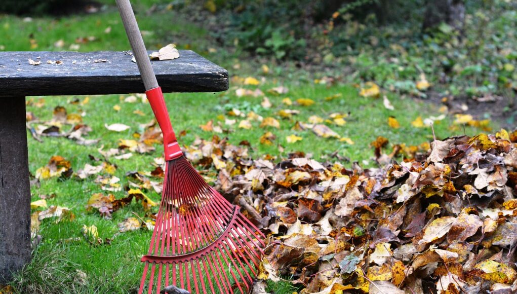 preparer-jardin-au-printemps nettoyer et préparer un jardin au printemps