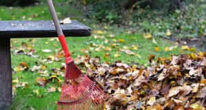 Les étapes essentielles pour nettoyer et préparer un jardin au printemps nettoyer et préparer un jardin au printemps