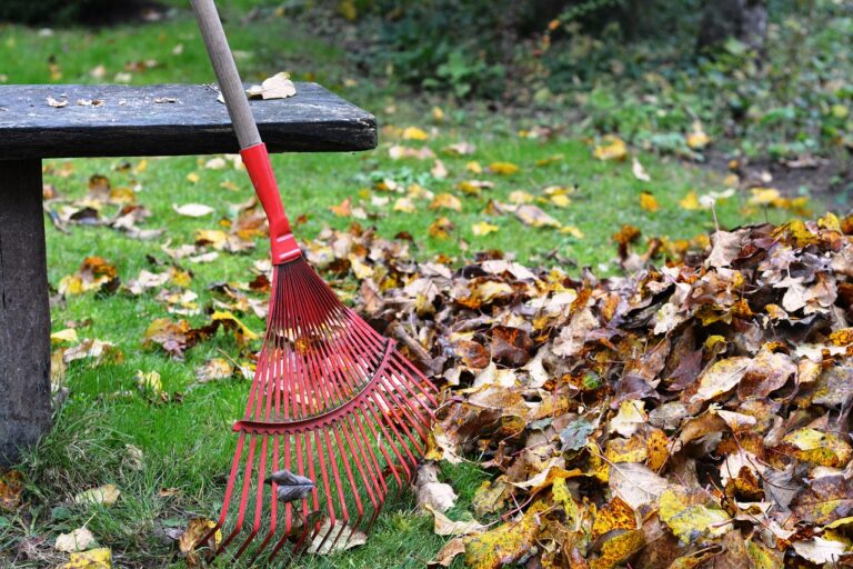 Les étapes essentielles pour nettoyer et préparer un jardin au printemps