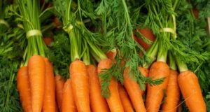 Comment congeler des carottes ? Comment congeler des carottes
