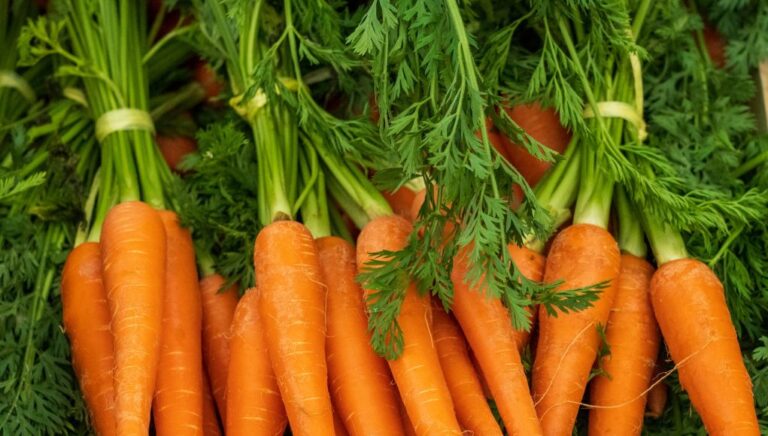 Comment congeler des carottes ?