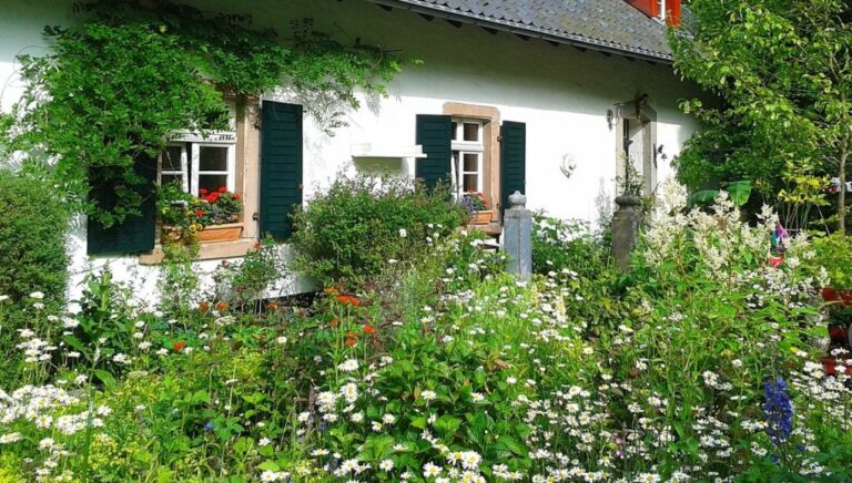 Astuces pour maximiser la floraison de vos plantes ce printemps