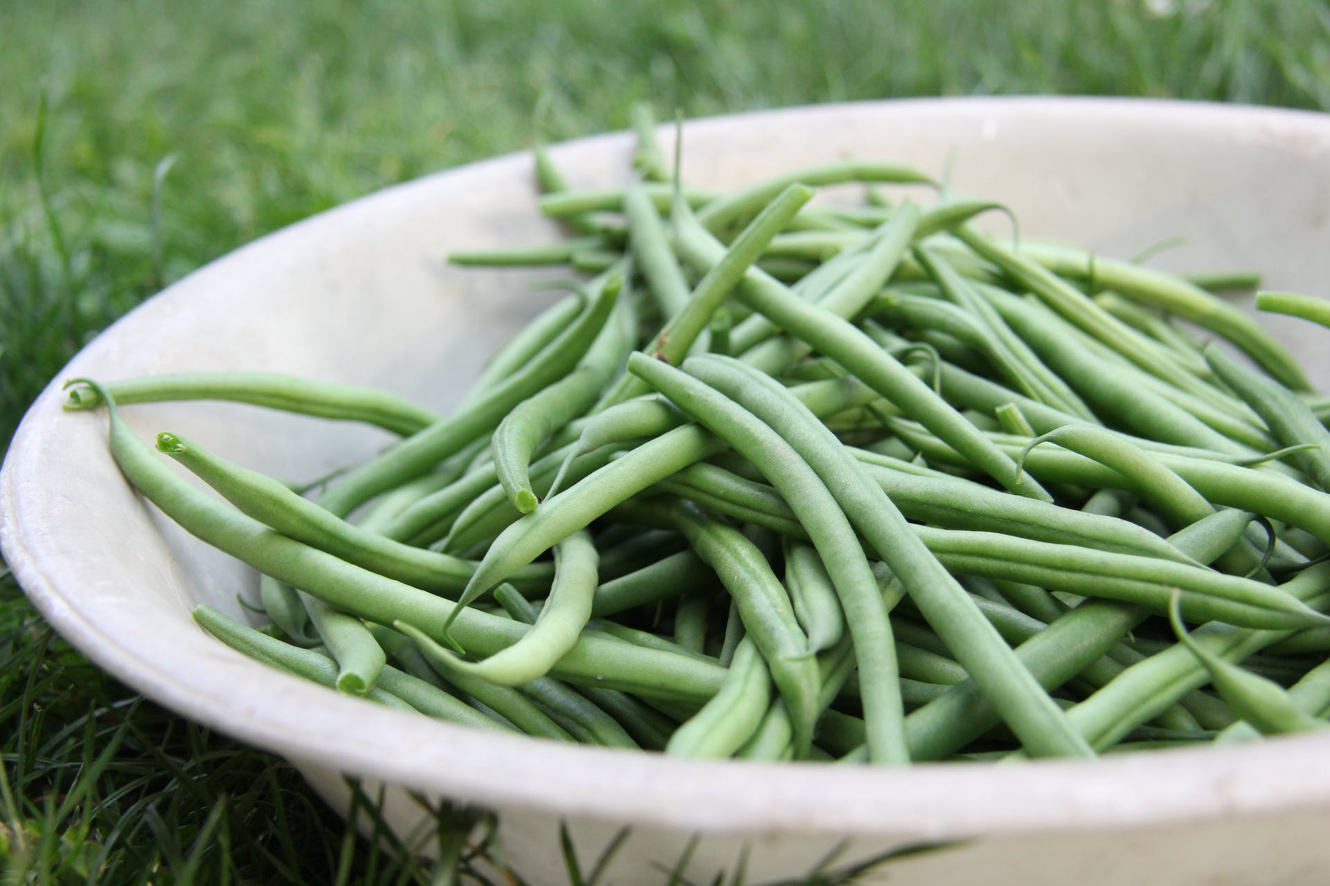 décongeler des haricots verts