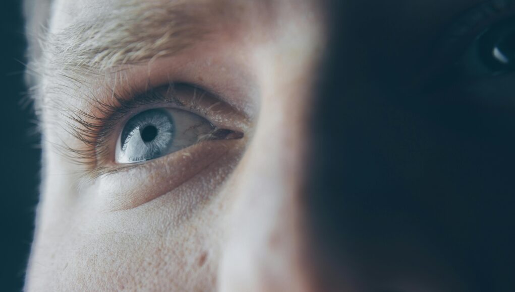 pexels-joshsorenson-977601