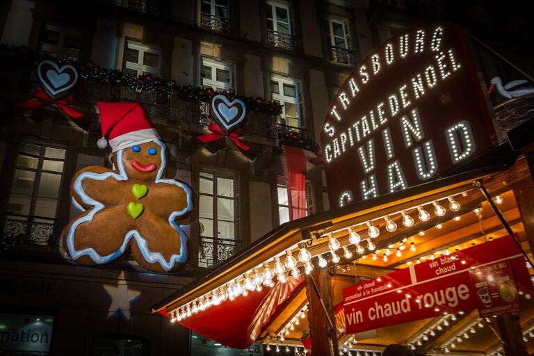Strasbourg en famille : week-end féerique aux marchés de Noël à petit prix !