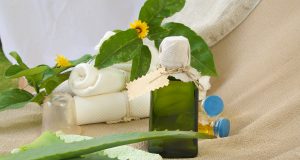 Aloe vera : 4 bienfaits pour la peau aloe vera