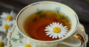 Phytothérapie : Boostez votre tonus naturellement phytothérapie