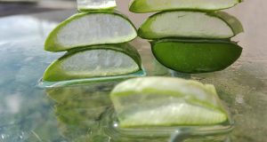 Comment prendre soin de la peau de manière naturelle ? prendre soin de la peau