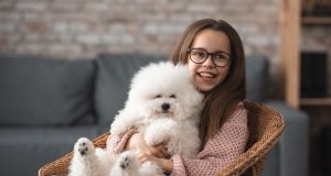 Comment bien s’occuper de son chien de salon ? chien de salon