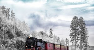 Les astuces naturelles et efficaces contre le mal des transports astuces naturelles mal transports