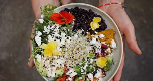 Que faut-il manger pendant une canicule ? que manger pendant une canicule