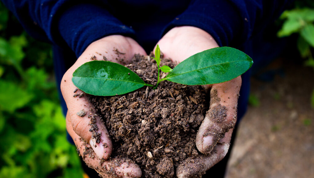 faire-compost-naturel faire le meilleur compost naturel