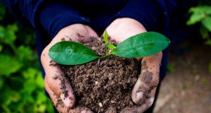 Comment faire le meilleur compost naturel pour son jardin ? faire le meilleur compost naturel