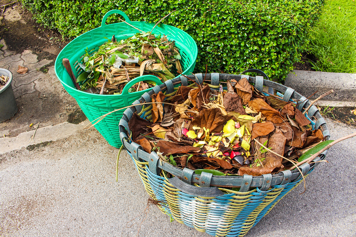 photo ingrédients compost naturel