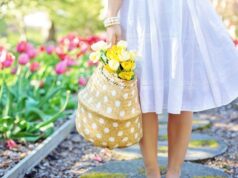 Les plantes stars du printemps : comment les cultiver avec succès ? plantes stars du printemps