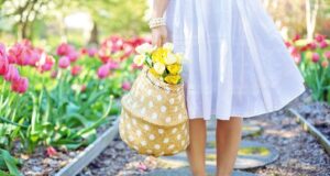 Les plantes stars du printemps : comment les cultiver avec succès ? plantes stars du printemps