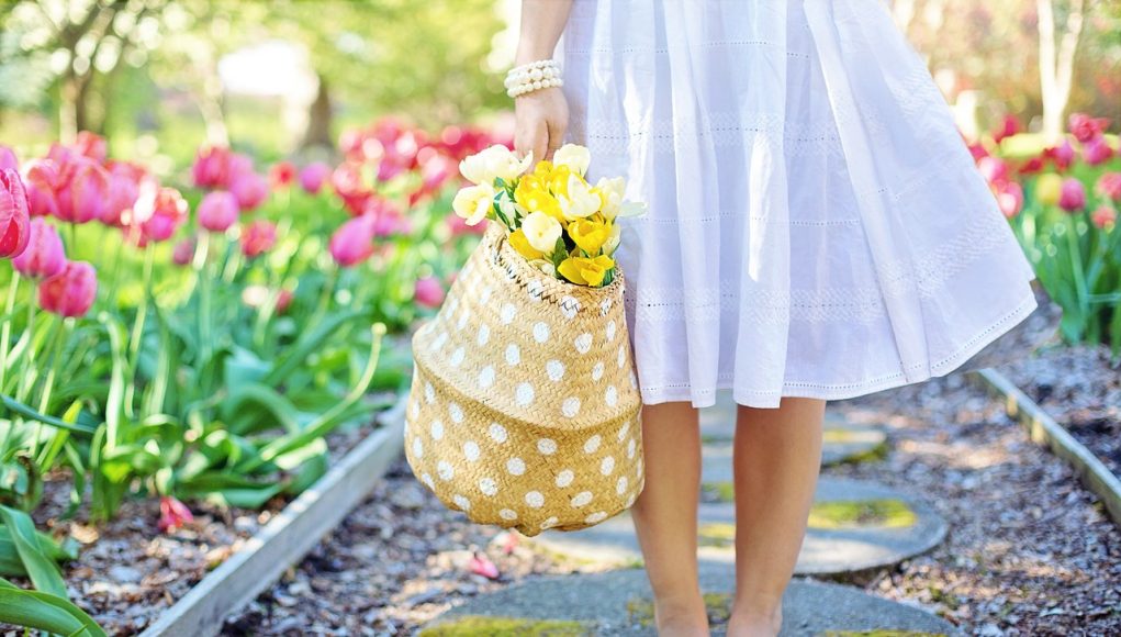 plantes stars du printemps