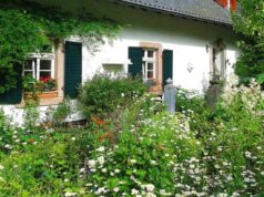 Astuces pour maximiser la floraison de vos plantes ce printemps maximiser la floraison