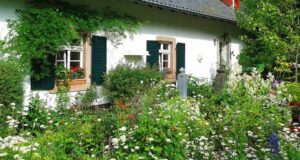 Astuces pour maximiser la floraison de vos plantes ce printemps maximiser la floraison