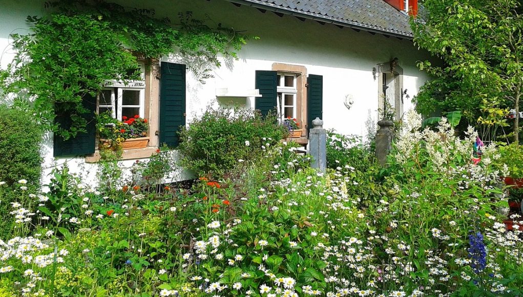 maximiser la floraison